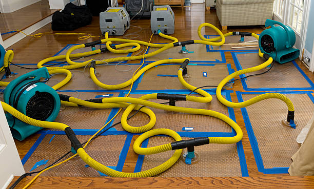Professional Burst Pipe Water Damage technician working in Mendon, UT